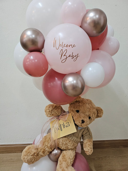 Mini Hot Air Balloon with Teddy