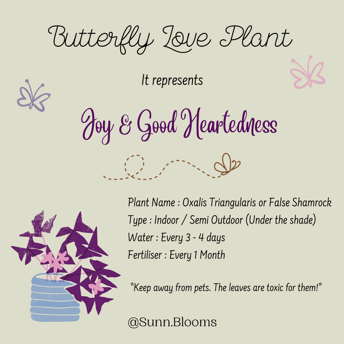 Butterfly Love Plant