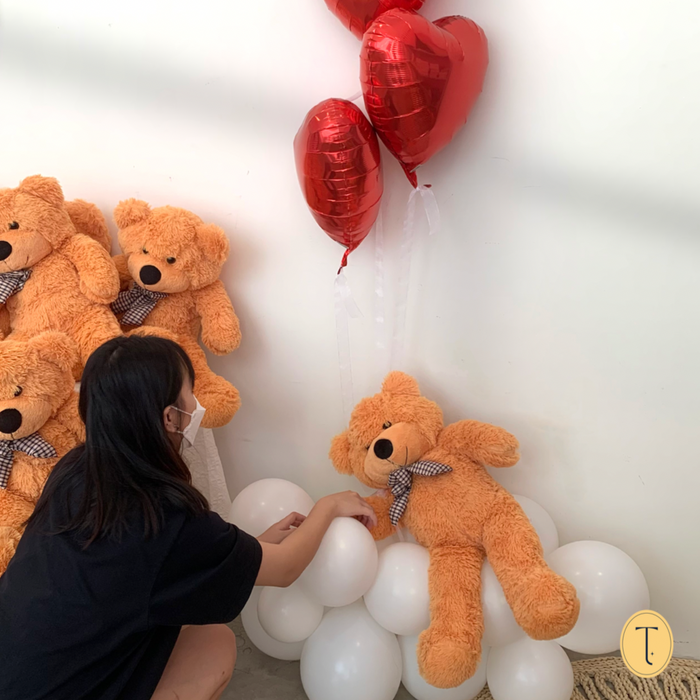 Valentine Dreamy Teddy