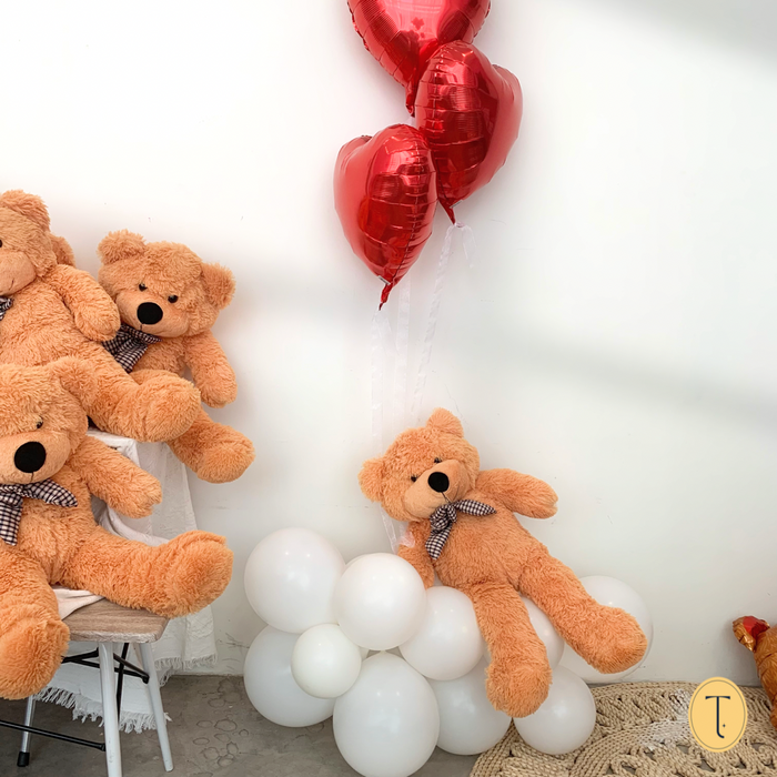 Valentine Dreamy Teddy